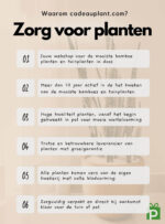 Waarom kies je voor cadeau plant? Zorg voor mooie planten!
